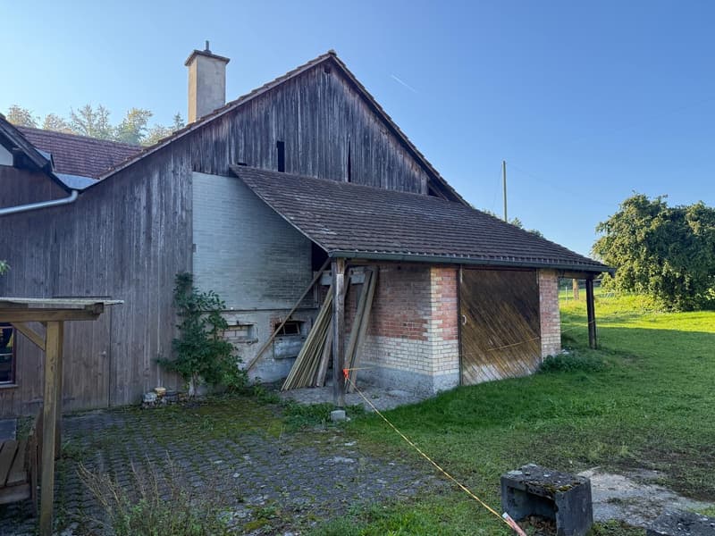 Maison de paysan charmante avec garage et grand jardin à Mühledorf SO (7)