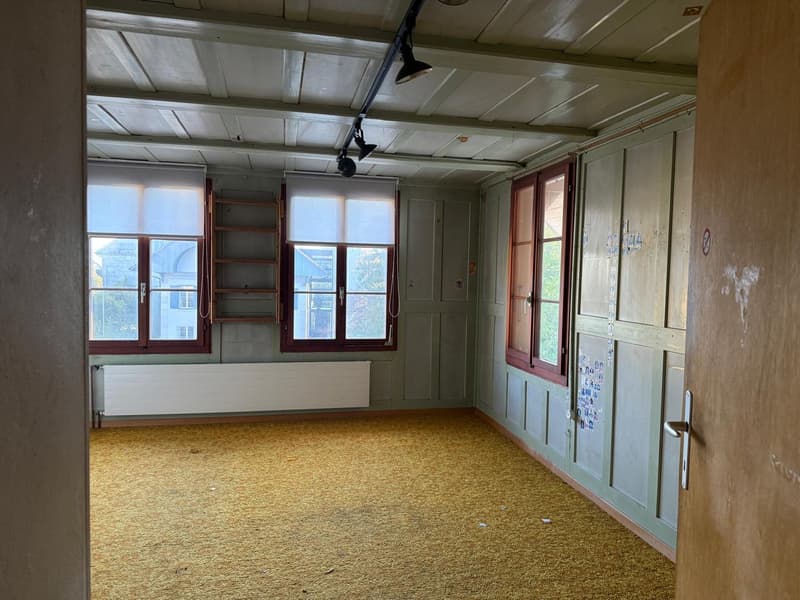Maison de paysan charmante avec garage et grand jardin à Mühledorf SO (15)