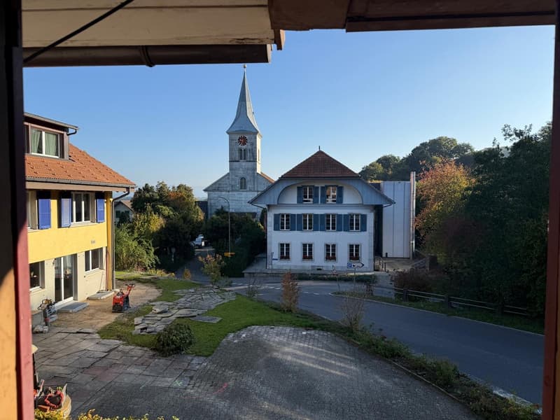 Maison de paysan charmante avec garage et grand jardin à Mühledorf SO (16)