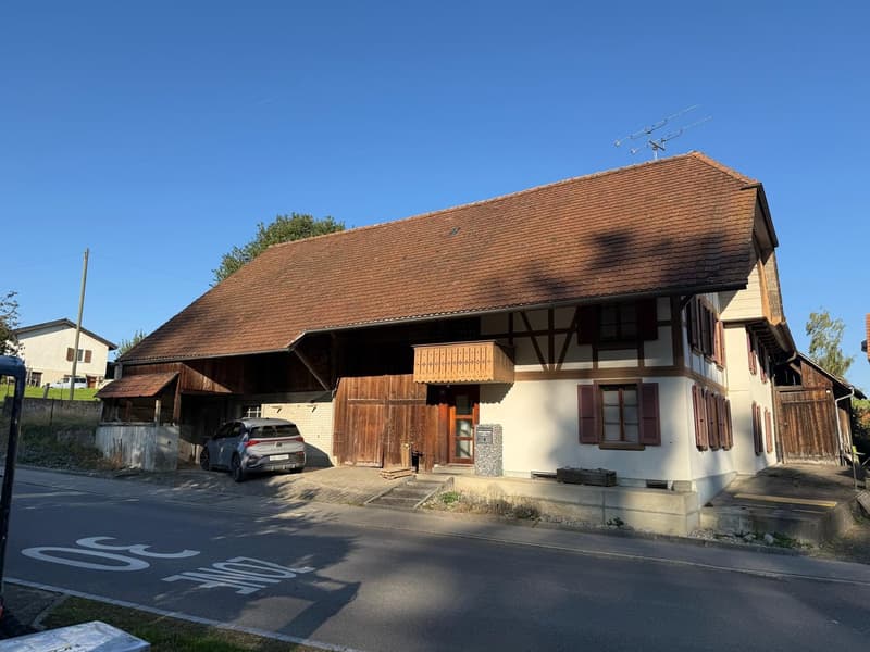 Charmantes Bauernhaus mit Garage und grossem Garten in Mühledorf SO (5)