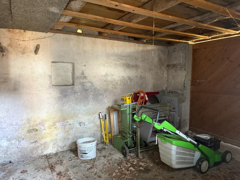 Charmantes Bauernhaus mit Garage und grossem Garten in Mühledorf SO (25)