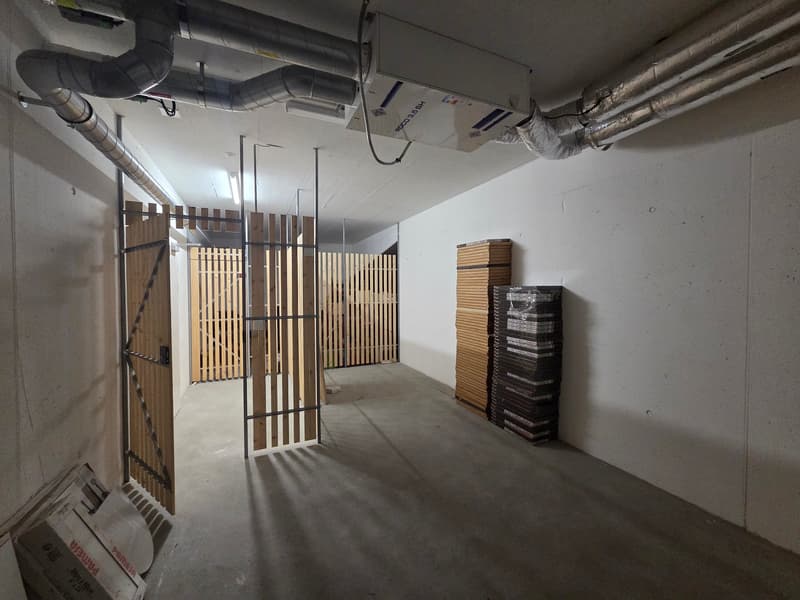 Moderne 2.5-Zimmer-Wohnung mit Stadtblick im 6. Stock in Biel (14)
