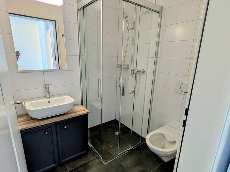 Moderne 2.5-Zimmer-Wohnung mit Stadtblick im 6. Stock in Biel (9)