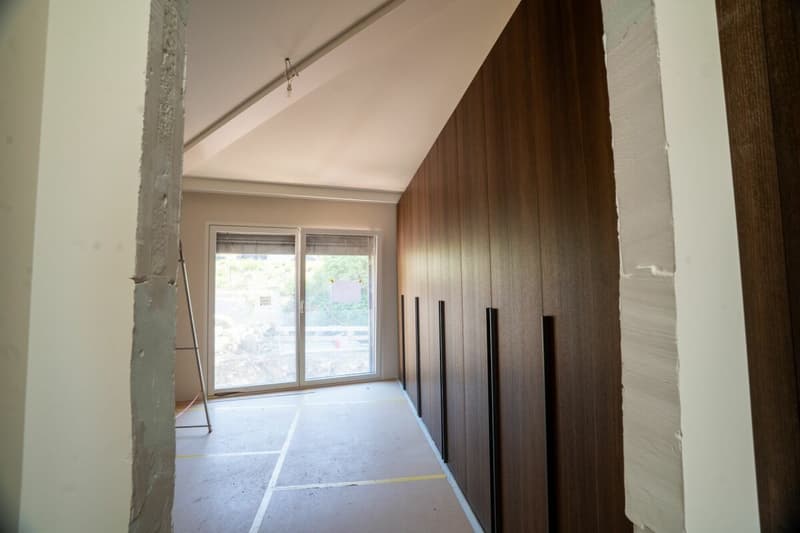 Superbe duplex avec vue sur le lac Léman (8)