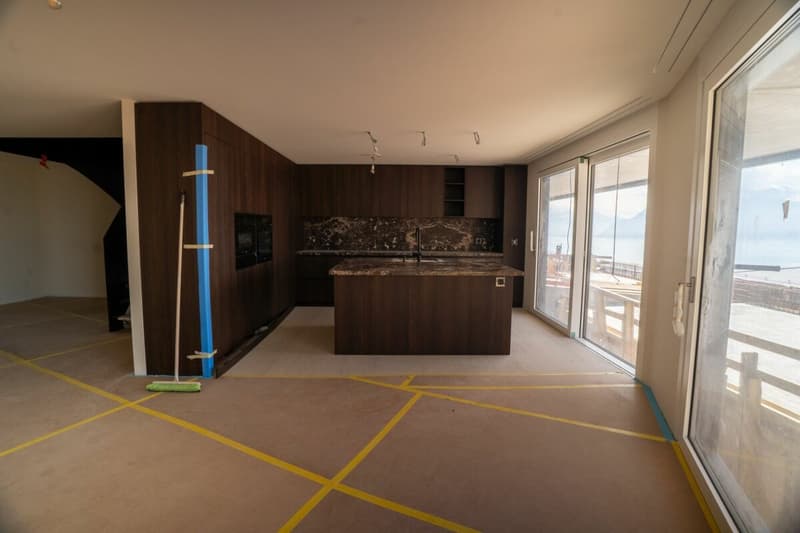 Superbe duplex avec vue sur le lac Léman (5)