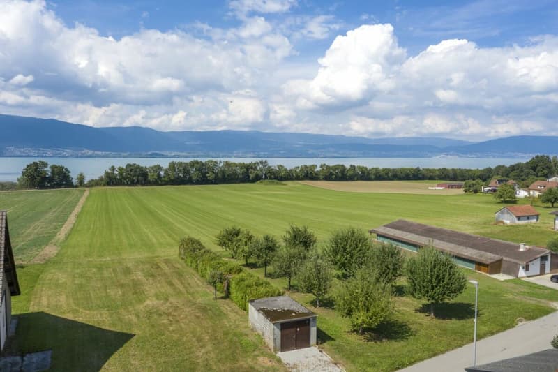 Magnifique immeuble de 3 logements à Forel / FR (3)