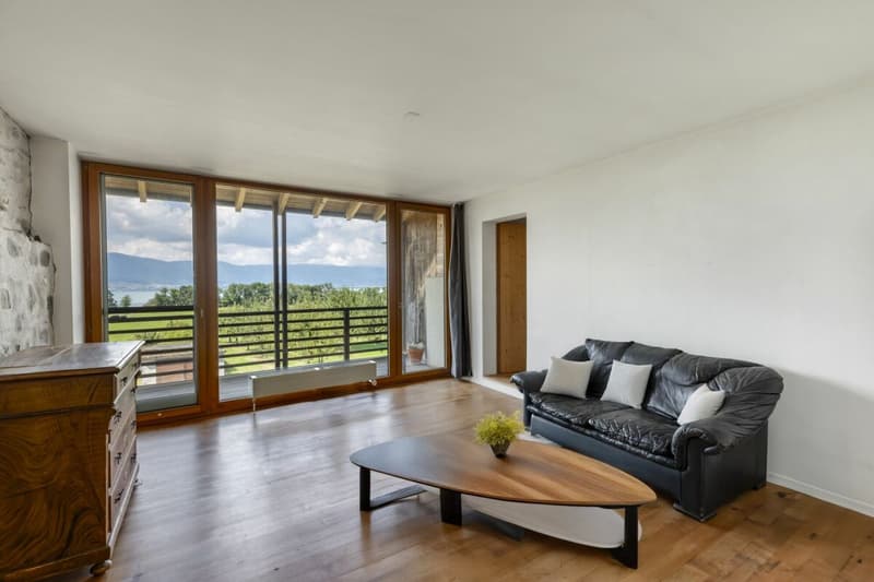Magnifique immeuble de 3 logements à Forel / FR (7)