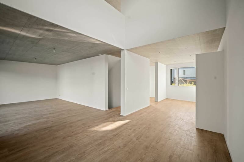 Très belle villa de 4,5 pièces avec vue sur les montagnes et le lac de la Gruyère ( B1.2 ) (4)