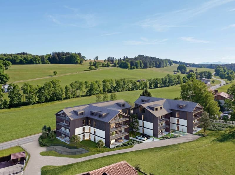Superbe attique de 3.5 pièces avec grand balcon (10)
