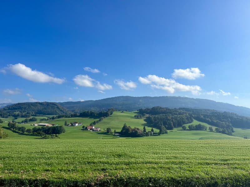 Les Villas d'Essert - Lot 8 (3)