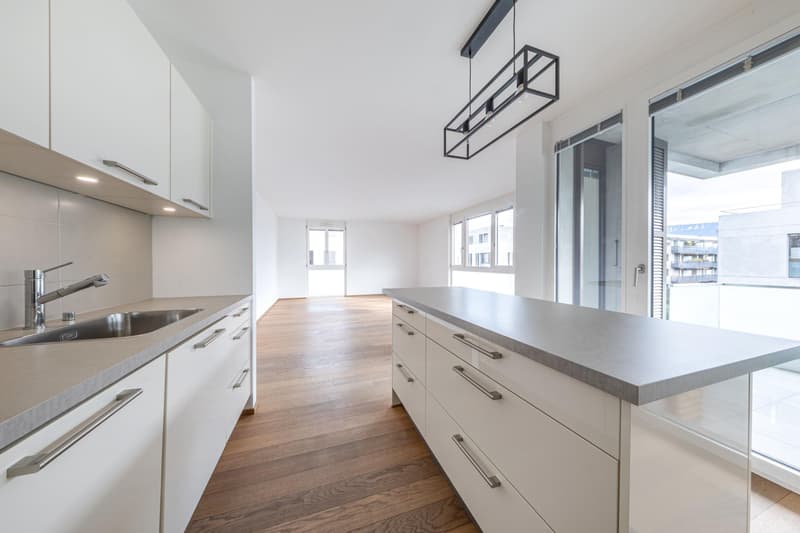 4 pièces moderne avec loggia (1)