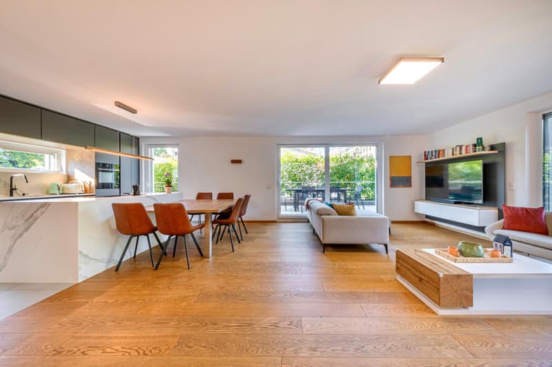 Lumineux attique contemporain avec grande terrasse (1)