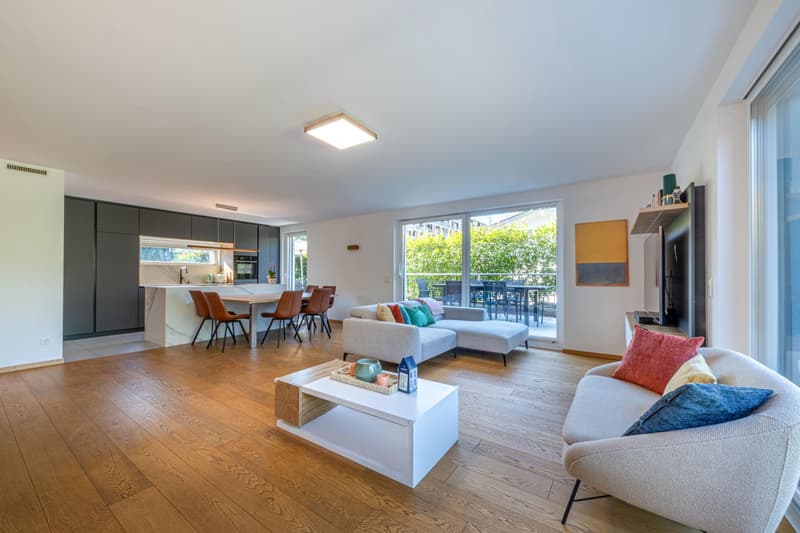 Lumineux attique contemporain avec grande terrasse (3)