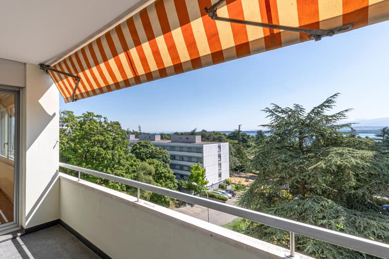 Appartement familial avec vue lac (3)