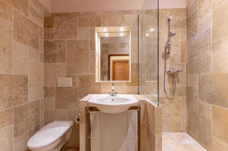 Spacieux duplex de standing (6)