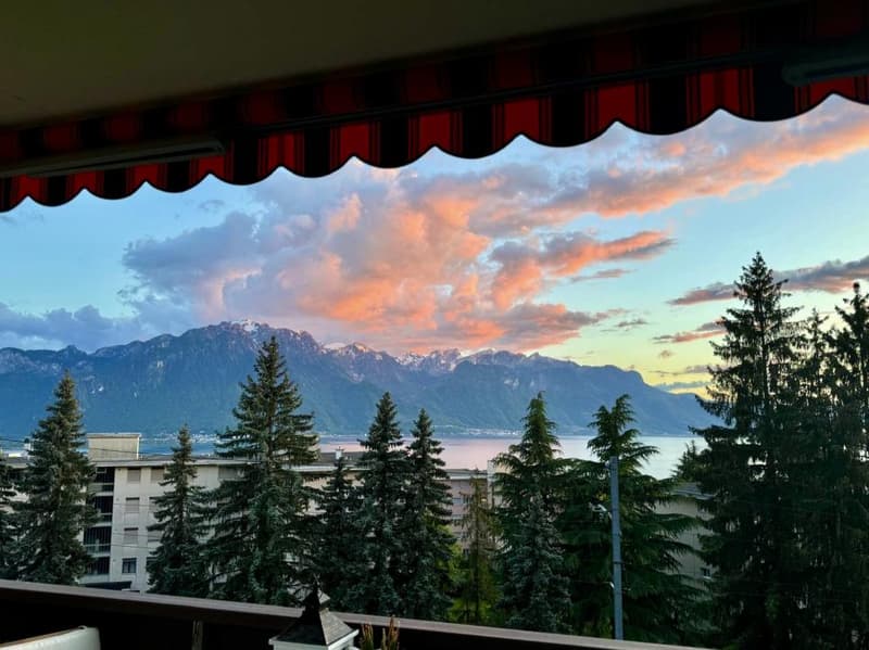 Appartement coup de coeur avec vue sur les montagnes | homegate.ch
