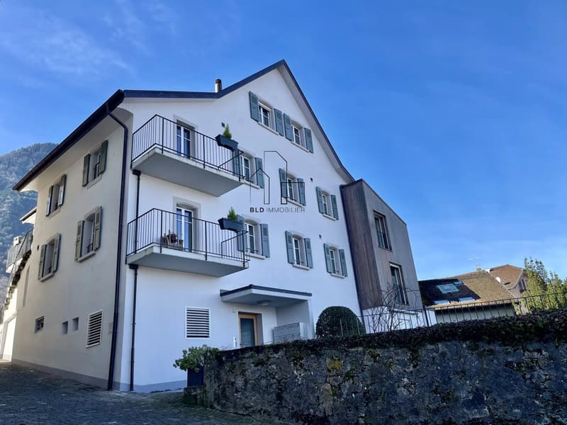 Bel appartement de 4 pièces entièrement rénové ? possibilité de créer un studio indépendant (2)