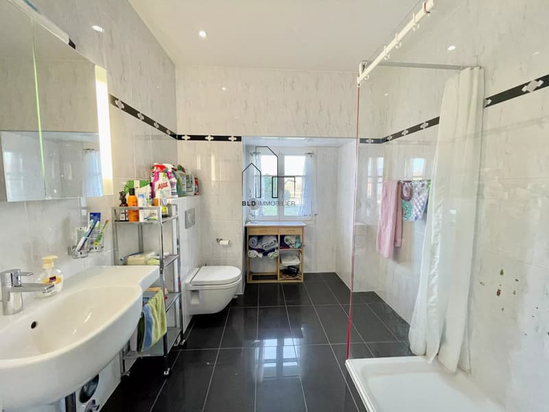 Bel appartement de 4 pièces entièrement rénové ? possibilité de créer un studio indépendant (10)