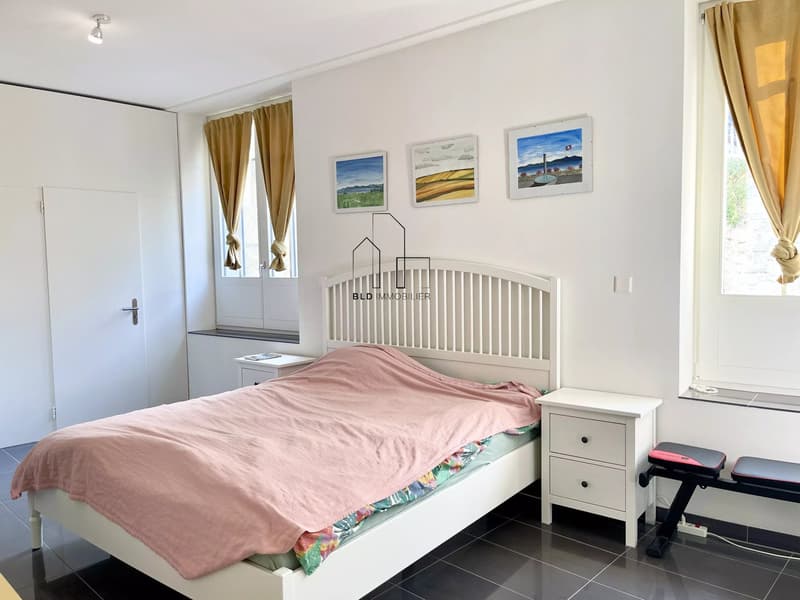 Bel appartement de 4 pièces entièrement rénové ? possibilité de créer un studio indépendant (9)