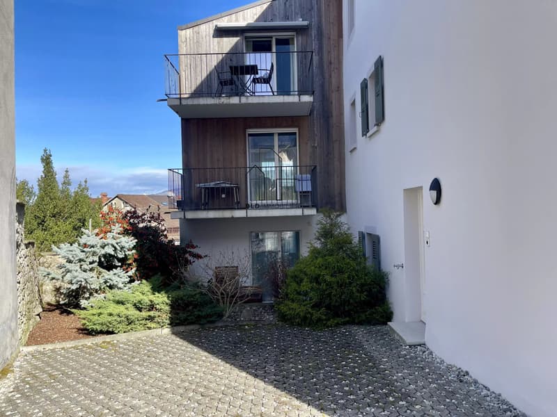Bel appartement de 4 pièces entièrement rénové ? possibilité de créer un studio indépendant (11)