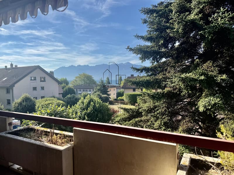 Appartement entièrement rénové (2)