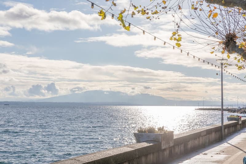 Somptueux appartement avec vue sur le lac à couper le souffle en plein cœur du bourg