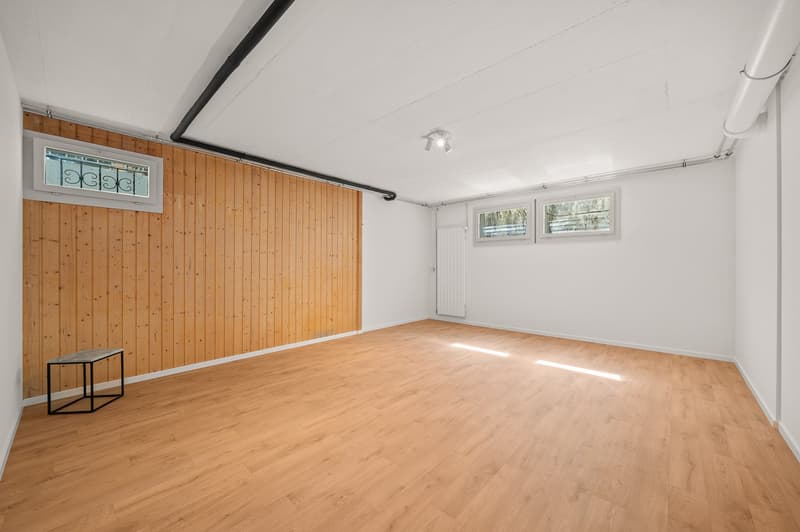 Magnifique villa individuelle rénovée avec vue panoramique à 5 minutes de Nyon (15)