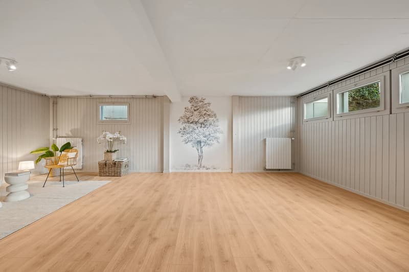 Magnifique villa individuelle rénovée avec vue panoramique à 5 minutes de Nyon (13)