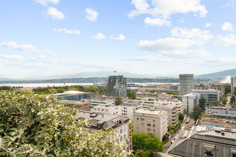 Unique penthouse with rooftop and swimming pool and amazing view on the lake and the Jet d’Eau (1)
