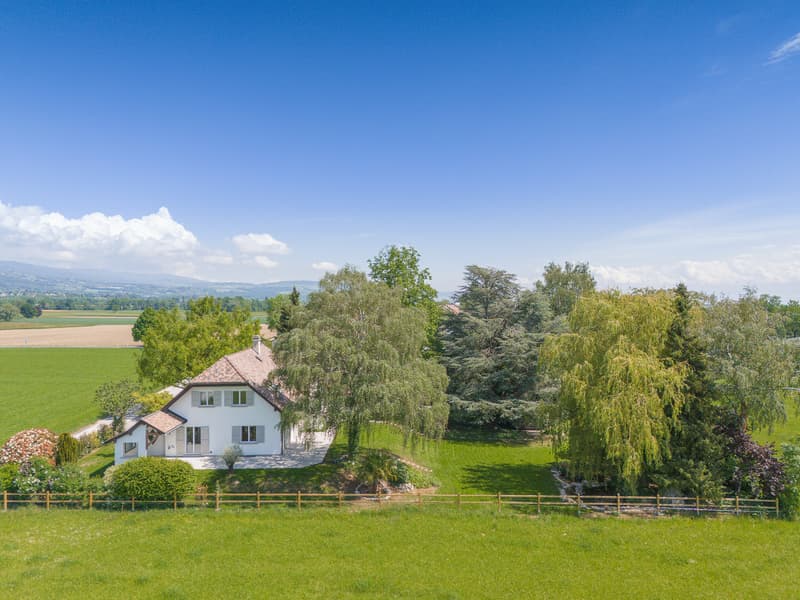 Villa individuelle rénovée avec vue panoramique à 5 minutes de Nyon (3)