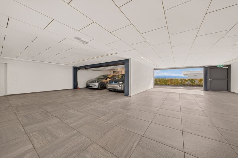 A Rare and Stunning Luxury Apartment with Spectacular Lake & Mont Blanc Views (5)