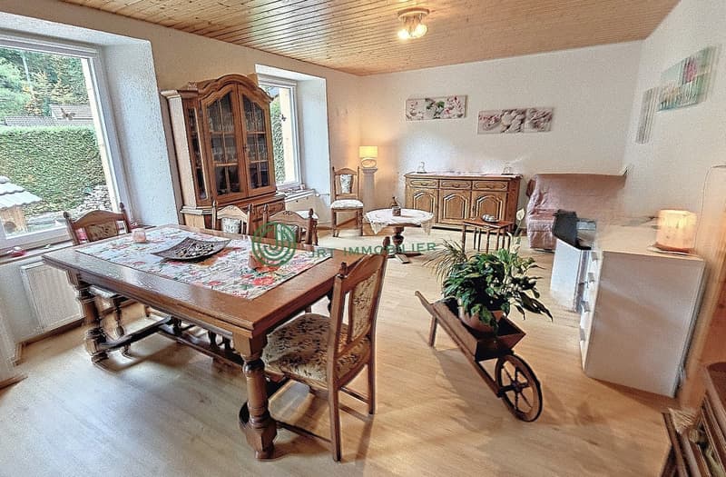 Dining room with wooden table, chairs, cabinet, side table, lamp, couch, potted plant, radiator, and paintings on the wall.
