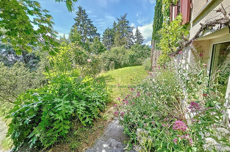 a lush garden with various plants and flowers, surrounded by trees and greenery, leading to a house
