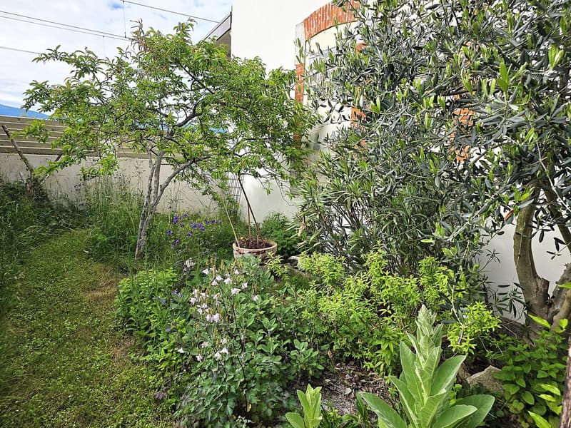 Cheyres : charmante maison dans l'ancienne gare avec un très joli jardin (13)