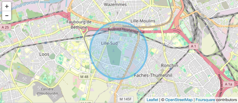Lille Wazemmes – Grand T2 en duplex avec opportunité commerciale (8)