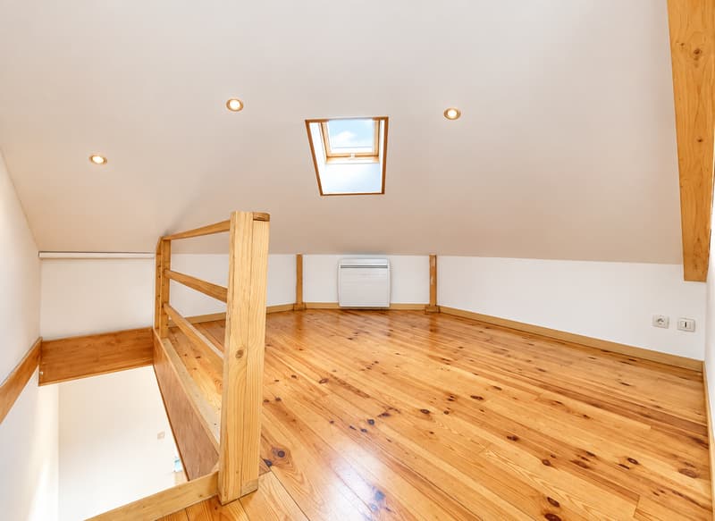 Lille Wazemmes – Grand T2 en duplex avec opportunité commerciale (5)