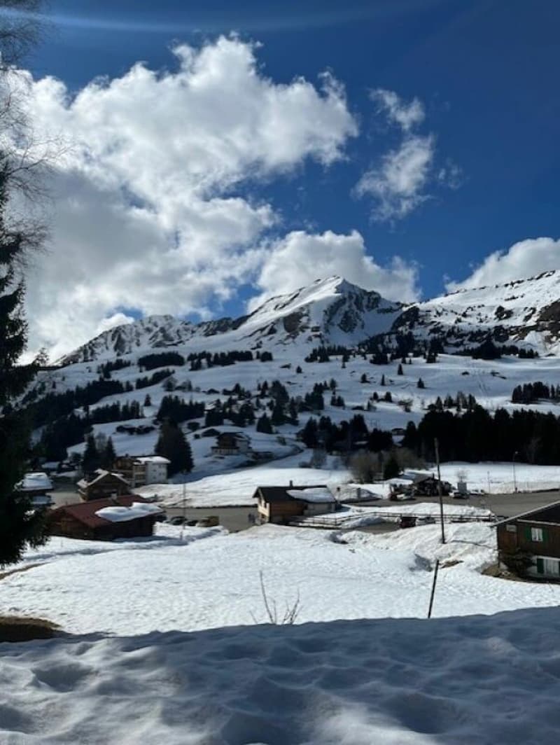 Joli chalet de deux appartements en PPE (2)