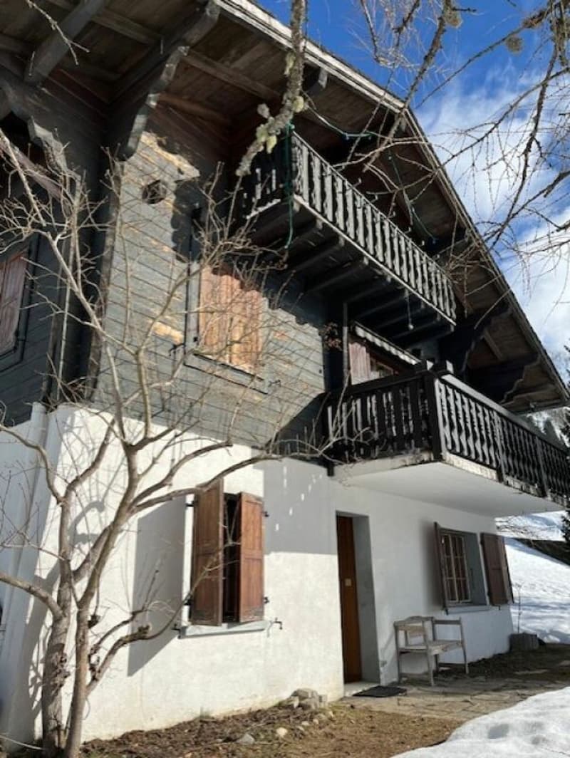 Joli chalet de deux appartements en PPE (13)