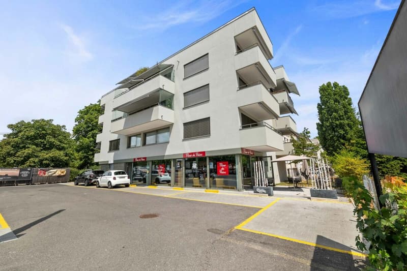 2.5 pièces moderne dans une PPE récente (11)