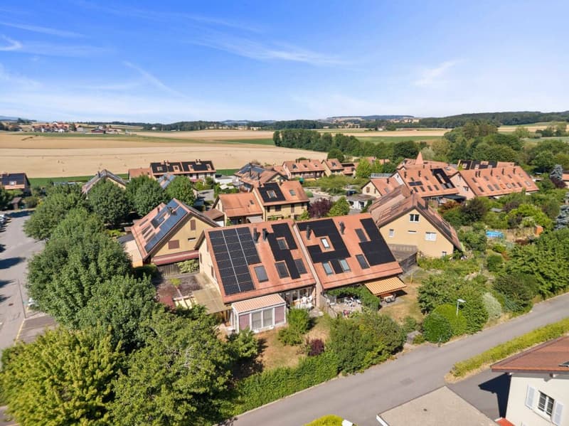 Villa familiale de caractère avec jardin privatif au coeur d'Echallens (2)