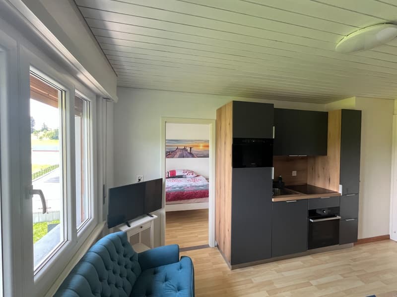Living room: blue couch, kitchen area with oven, sink, cabinets, flatscreen TV, bedroom with bed