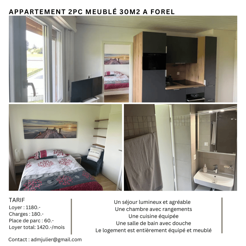 Charmanter Apartment mit 2 Zimmern in Forel (Lavaux) (1)