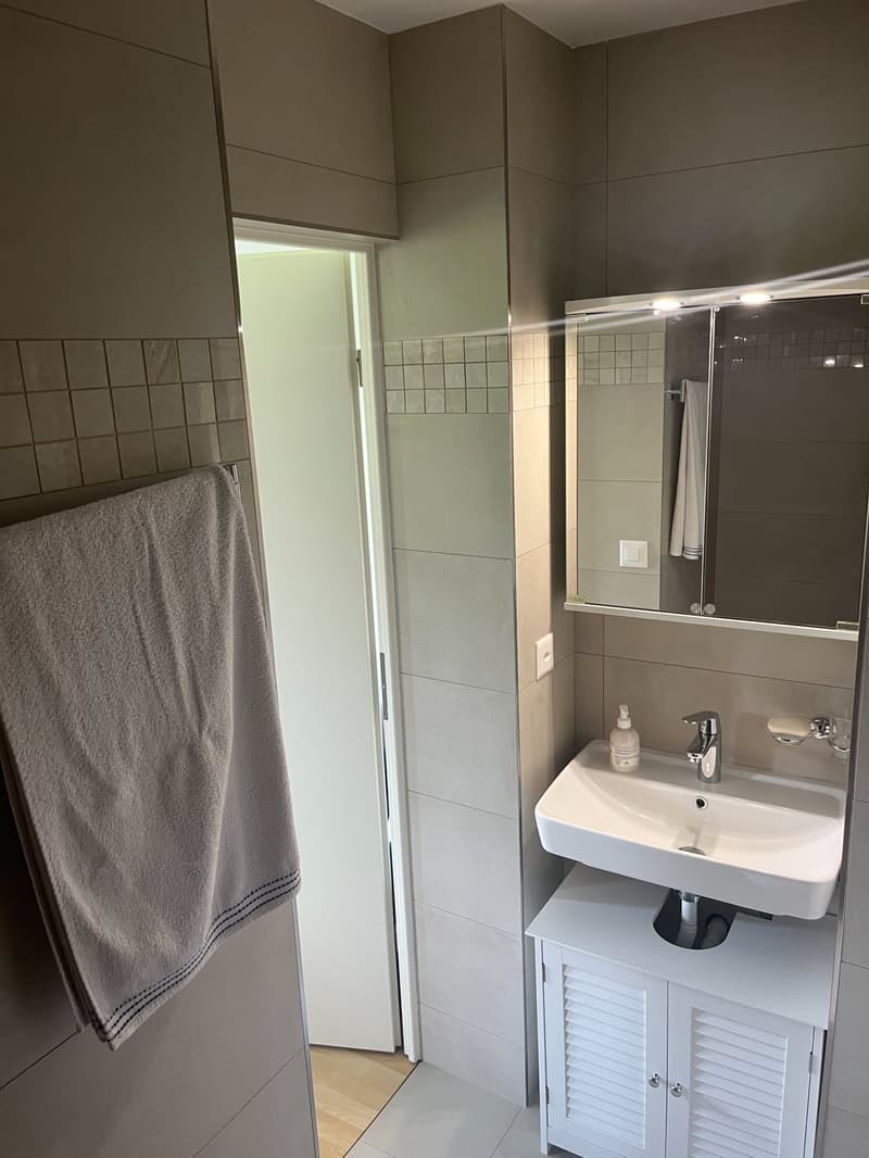 Bathroom with a sink, mirror, and cabinet, towel rack on the wall