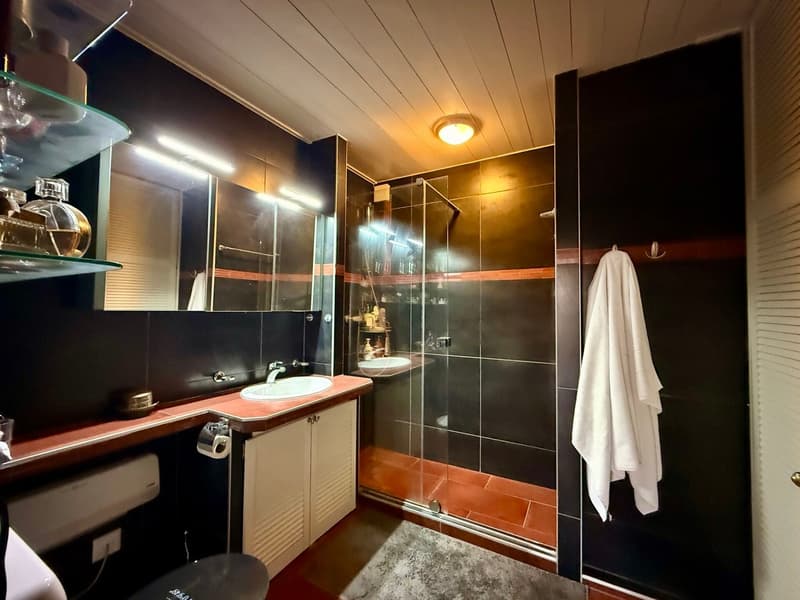 Black tiled walls, walk-in shower, sink with mirror, wooden cabinet, toilet, towel rack