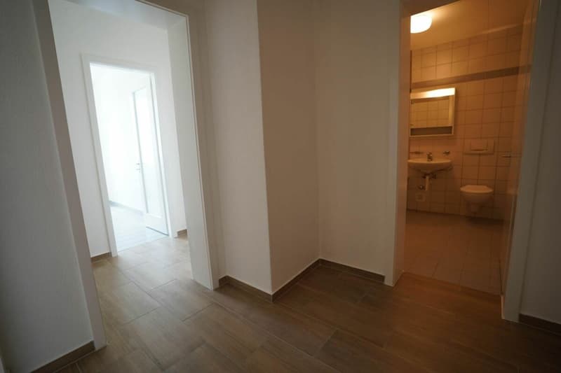 Appartement 2.5 pièces à Fribourg (3)