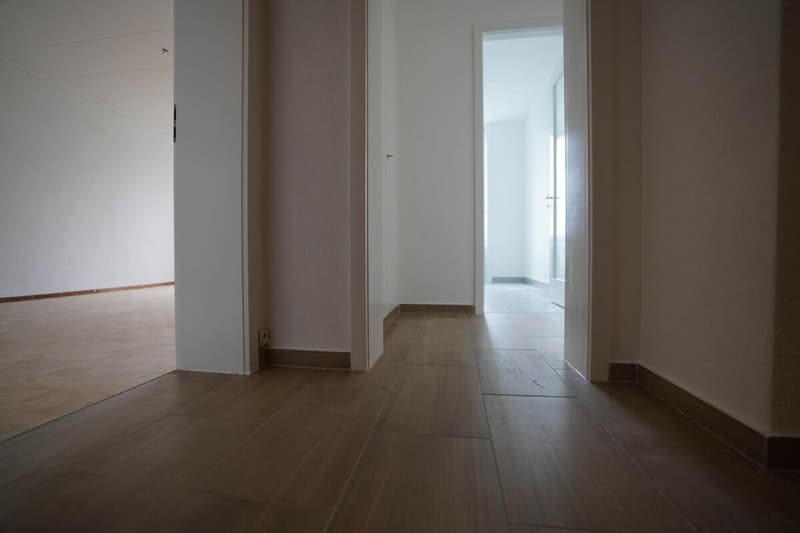Appartement 2.5 pièces à Fribourg (4)