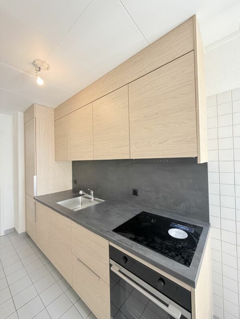 Grand appartement 3.5 - à louer - 1700 Fribourg copie (9)