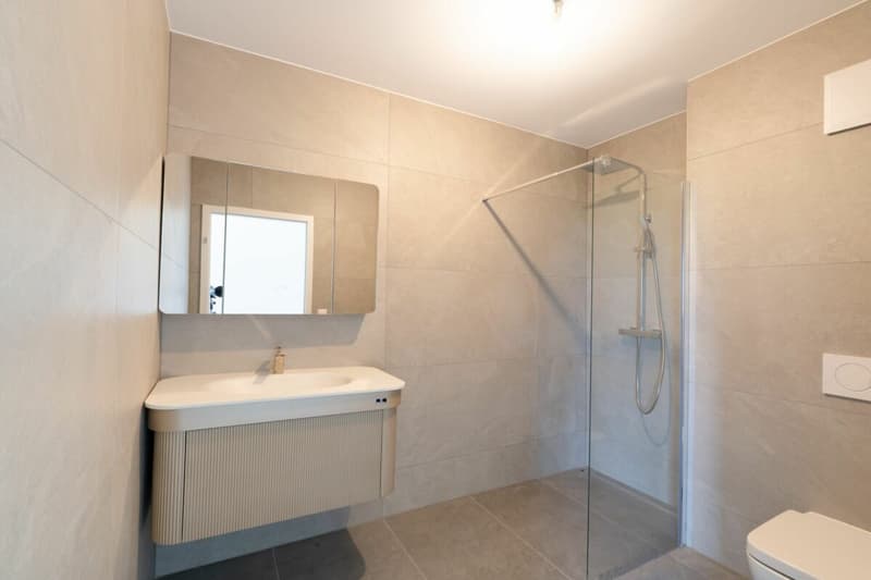 Collombey - Villa A mitoyenne de standing avec jardin (9)