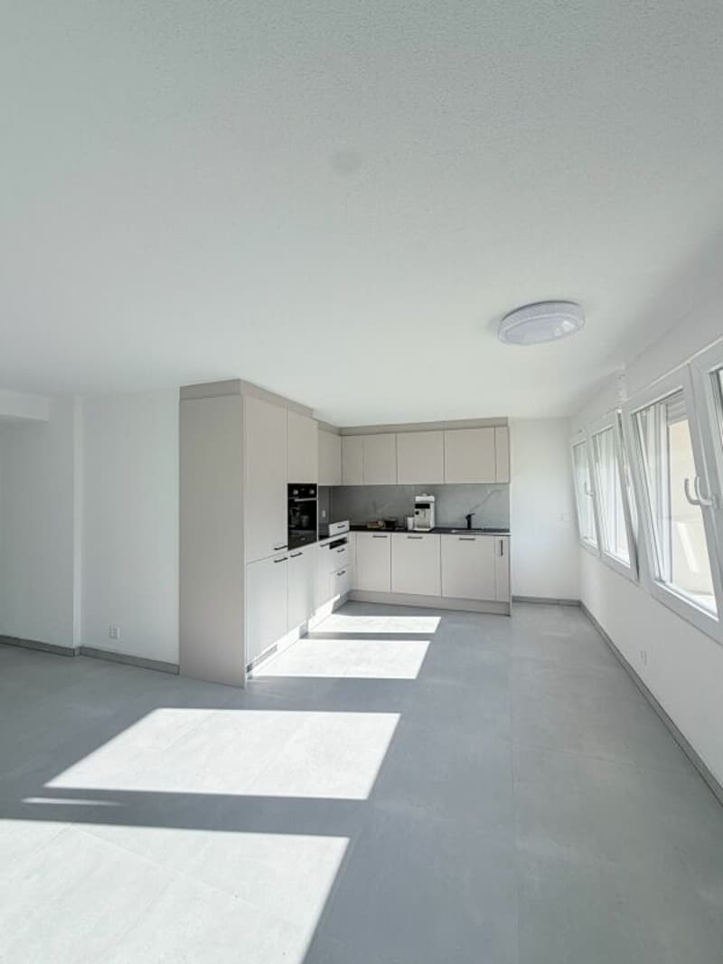 Daillon - Immeuble de charme avec un taux de rendement net à 4.36% - à vendre (11)