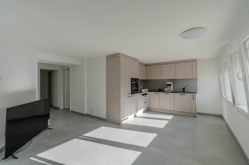 Daillon - Immeuble de charme avec un taux de rendement net à 4.36% - à vendre (3)